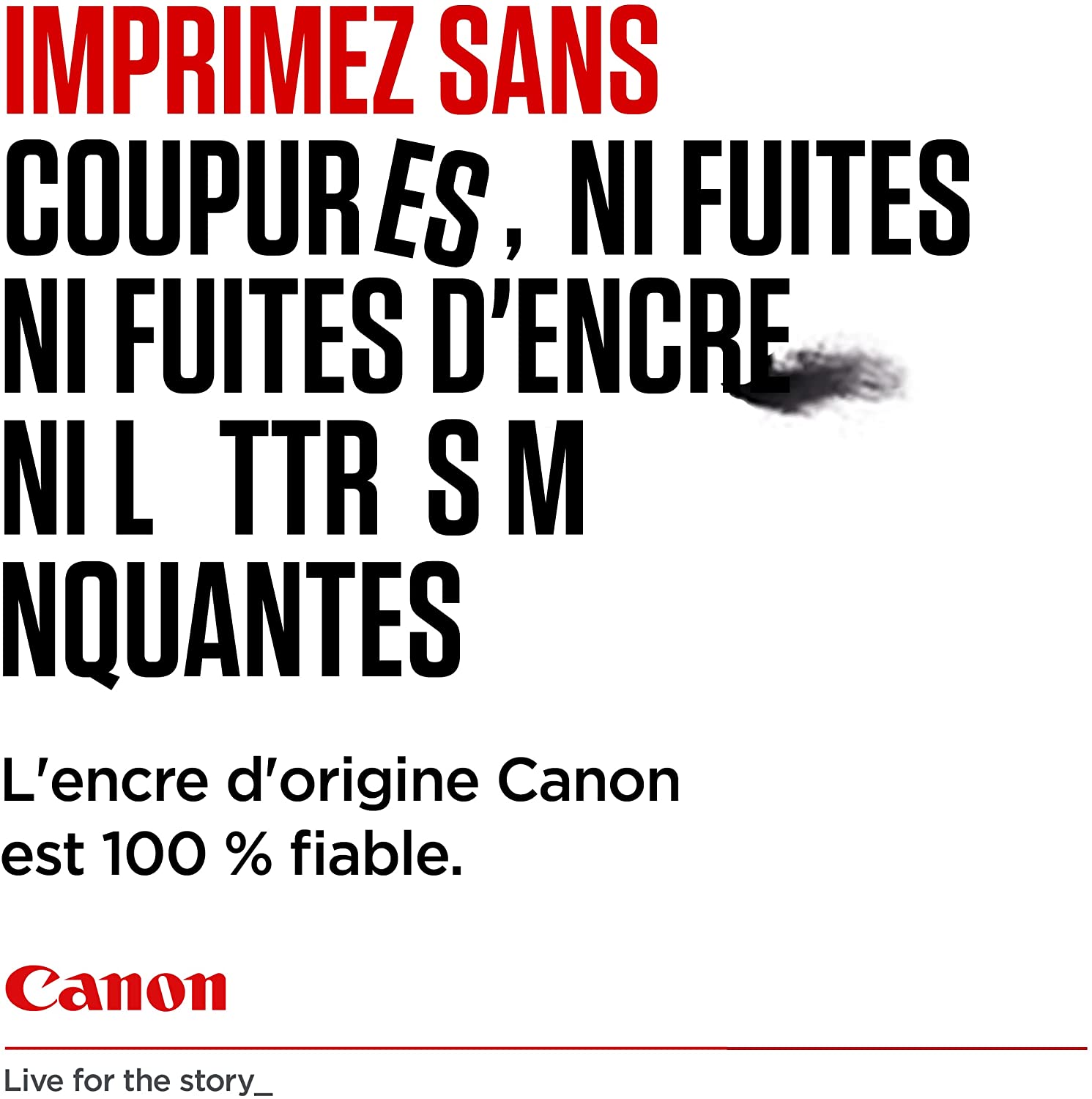 Canon Pack de 2 Cartouches PG 540 / CL 541 : Noir et Couleur (Emballage standard)